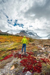 Young man standing in barren autumn landscape