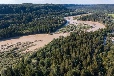 Isar at high water