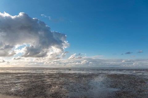 Beach at low tide