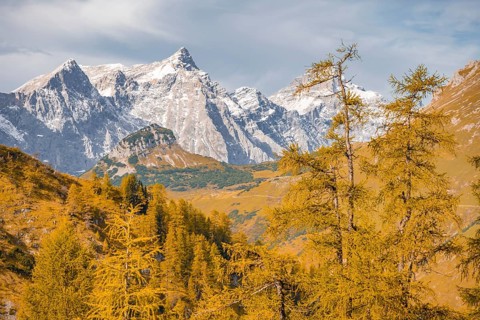 Mountain top