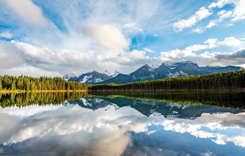 Herbert Lake