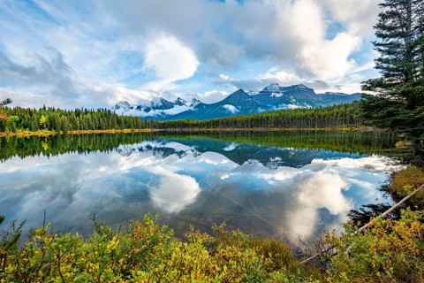Autumn Herbert Lake