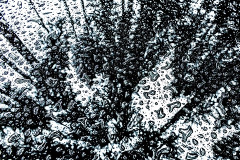 Car roof with raindrops and reflection of the forest