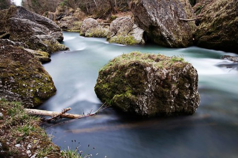 Erlauf Gorge