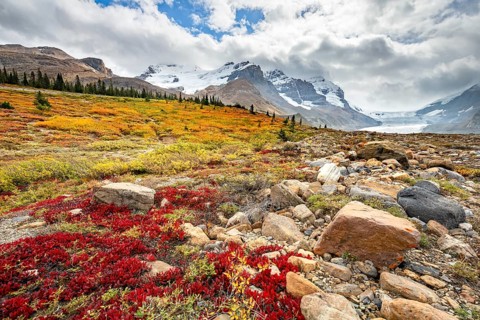 Barren autumn landscape