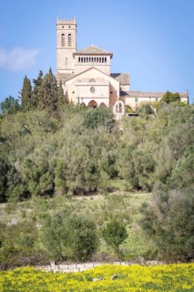 Mallorcan Church of Nuestra Senora d'Atocha