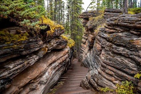 Path between Pancake Sandstones