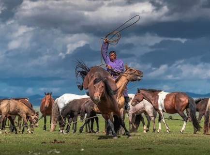 Nomad trying to catch his horse