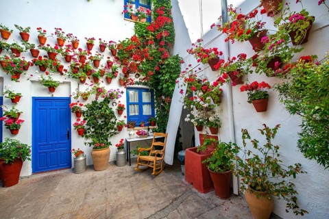 Blue entrance door in courtyard decorated with flowers