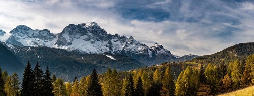Snowy mountain peaks of the Civetta group with autumn lark forest in the foreground