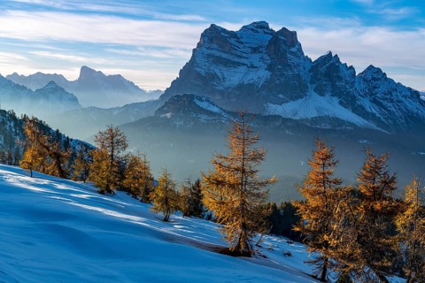 Peak of Monte Pelmo in the evening light with larch forest in the foreground
