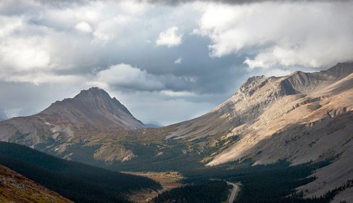 View of Wilcox Pass with Mount Wilcox and Nigel Peak in autumn