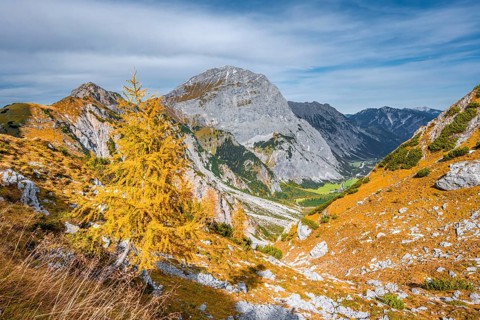 Falzthurnthal in autumn