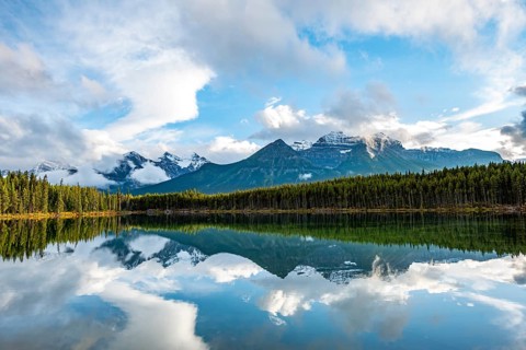 Herbert Lake