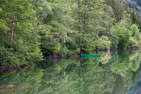 Auwaldsee