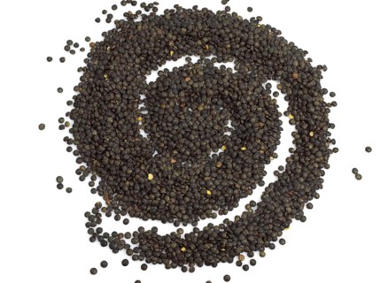 French green lentils called Puy lentils