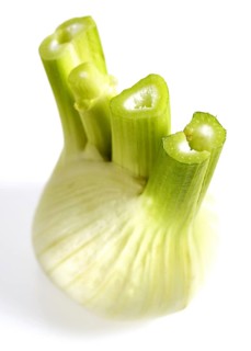 FRESH FENNEL