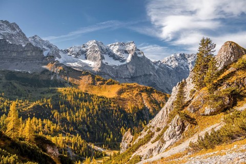 Autumn