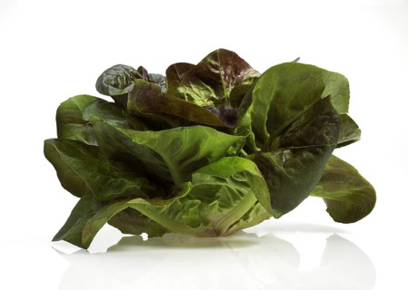 French lettuce called Rougette