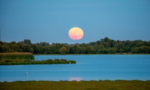 Red setting sun over a lake