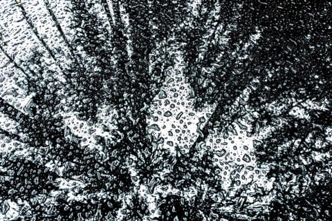 Car roof with raindrops and reflection of the forest