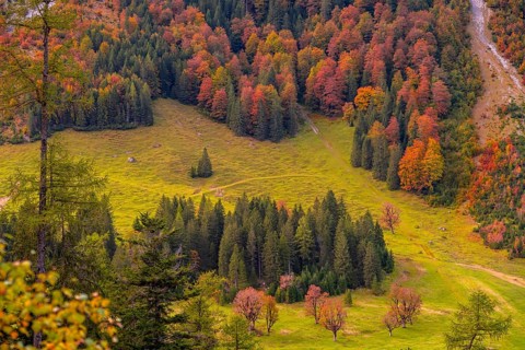 Colourful autumn landscape in the Risstal