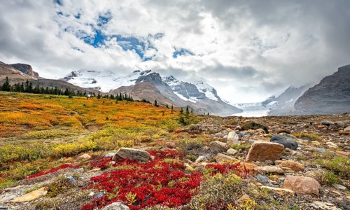 Barren autumn landscape