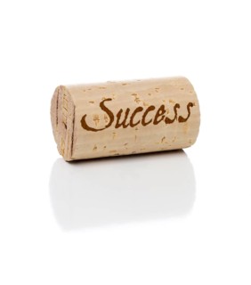 Success branded wine cork isolated on a white background