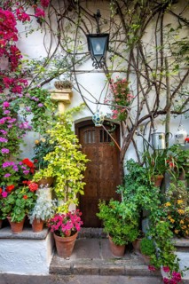 Entrance door in the courtyard decorated with flowers