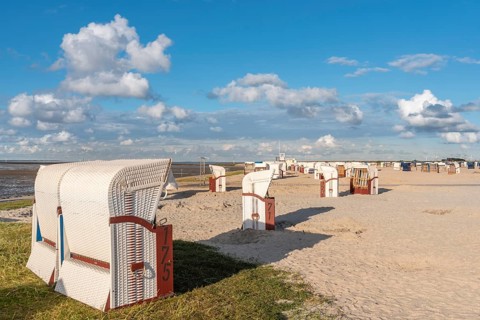 Beach with beach chairs