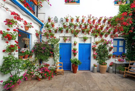 Blue entrance door in courtyard decorated with flowers
