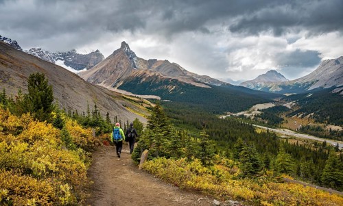 Two hikers between autumnal bushes