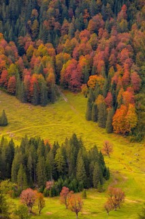 Colourful autumn landscape in the Risstal