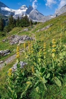 Hiking trail