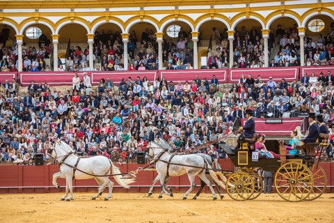 Plaza de Toros