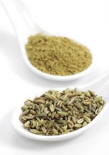 Powder and seeds of fennel