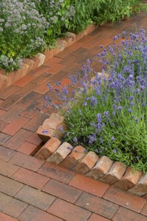 Garden path constructed from concrete pavers with sawtooth housebrick edging bordering lavender bed