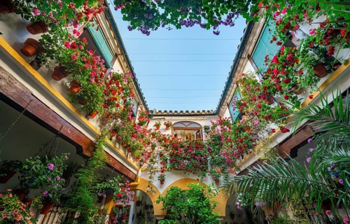 Patio decorated with flowers