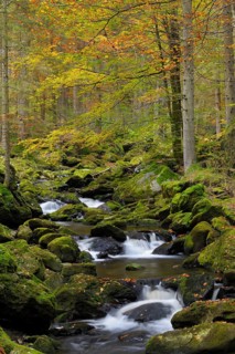 Stone gorge in autumn