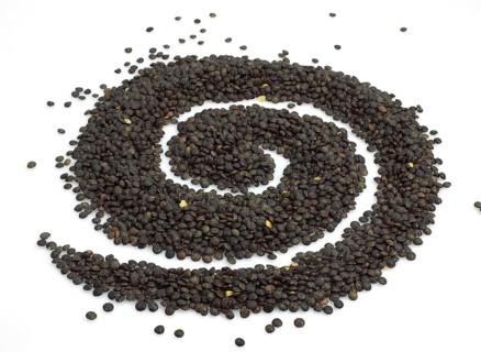French lentils as green puy lentils
