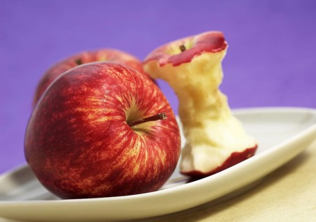 Malus domestica