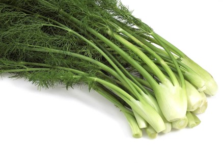 Small fennel