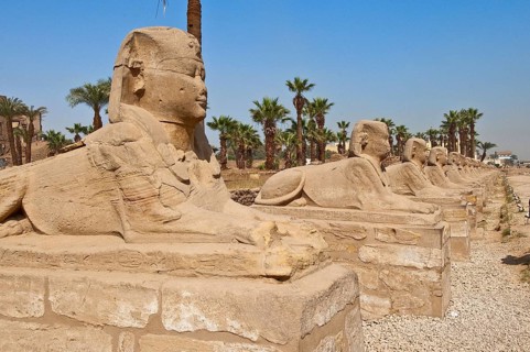 Newly excavated Sphinxes Avenue