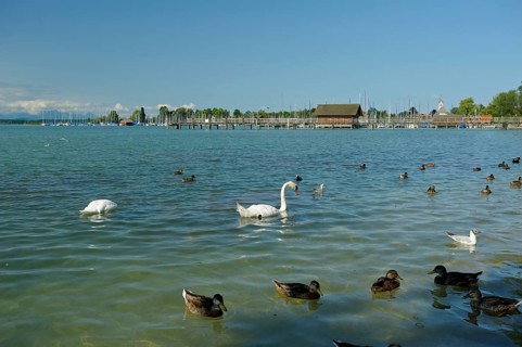 Chiemsee