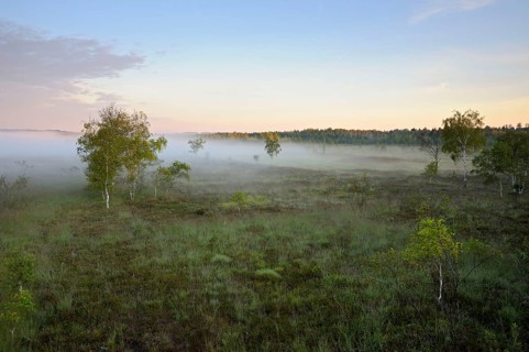 View from lookout tower onto moor