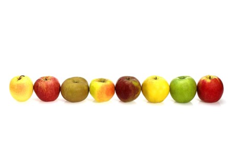 Malus domestica