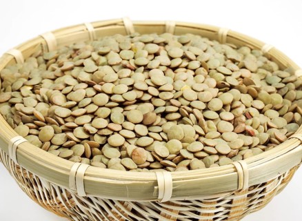 French lentils called St. flour lentils