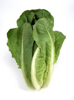 ROMAN SALAD