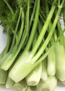 Small fennel