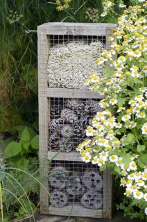 'Bug box' in garden